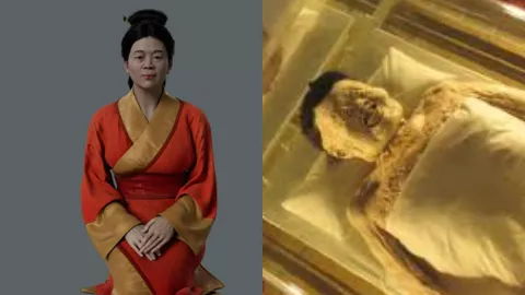 马王堆辛追遗体