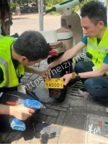 广州电鸡专用号牌