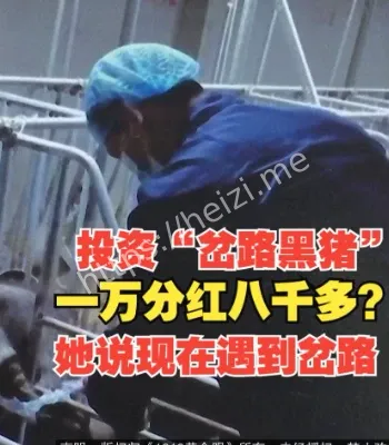 云养猪认养退款纠纷